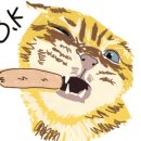 닥엔돈스 범어점 이미지