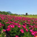 의성조문국사적지 티스토리