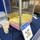 갤러리스크린골프존 | 2025 골프존 신한투자증권 GTOUR 지투어 6차 박찬희 우승 골프존 조이마루 직관 후기