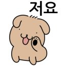 야옹이네 고양이카페 네이버블로그