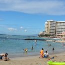 와이키키 이미지