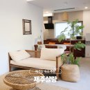 산방산에펜션 | 제주도 숙소 추천 산방산 독채 펜션 제주살랑 1박 후기