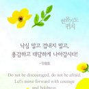 한몸 이미지