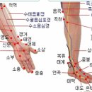 (주)용천수지 이미지