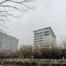 더올슬림스파 인천송도점