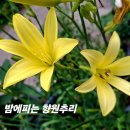 향원 - 해남군 구교2길 33 | 향원