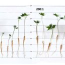이상욱농장 이미지