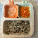 도우너 | [후기 이유식] 103~105일차 소고기미역죽, 가자미 토핑 추가 (하루3끼)