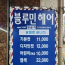 블루민헤어 이미지