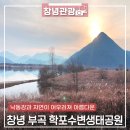 학포수변생태공원 | 자연과 낙동강이 어우러진 창녕 부곡 학포수변생태공원 탐방🔍