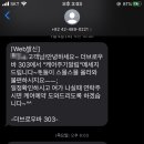 더브로우바303