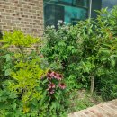 평원4길 1 이미지