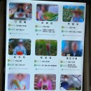 동읍524 | 창원 가볼만한곳 로컬푸드 직매장 후기, 이벤트