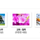 전주교육대학교전주부설초등학교 이미지