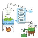 [디그니파이]영국아로마테라피센터 자격증반 | icaa...천연스킨&amp;알로에베라수분젤 | 관악 구로 동작...