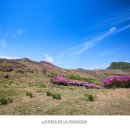 화원목장 이미지