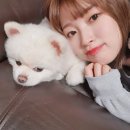 따따GO PC 이미지