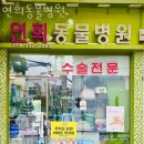 연희동물병원 | 서대문구 연희동 동물병원 연희동물병원 위치 오는길 후기