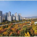 금터공인중개사 이미지