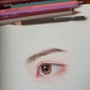 색연필화(기초) 이미지