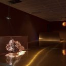 최찬숙 카카오 검색결과