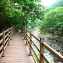 수도산 자연휴양림 이미지