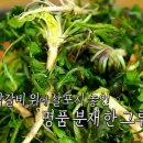 태백닭갈비 이미지