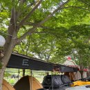 둥지애견 이미지