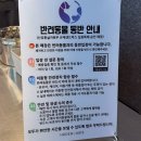 김포카페 찾는다면? 애견동반 가능한 구래동 감성카페 히든오아시스 후기