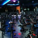 더엠 휘트니스 이미지