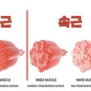 휘트니스A 이미지