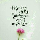(유)대가