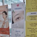 구르미래쉬