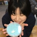 스꼬비 | 대구 슬라임카페 ‘스꼬비하우스’ 내돈내산 방문 후기 🏠