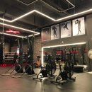 언더독 복싱 이미지