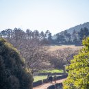 대도정비 | 제주 승마 체험 추천 목장 카페 밭디에서 즐긴 풀코스 후기