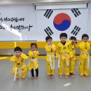 경희대사랑인태권도 이미지