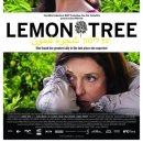 레몬트리 이미지