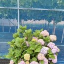 경주 둥지가족펜션 이미지