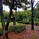 서호공원 이미지