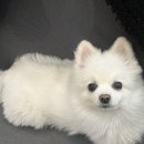 입이편안 이미지