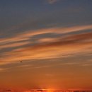 삼정리224 이미지