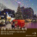 공영주차장 교차로 | 강릉 크리스마스 축제 평일 후기 월화거리 안목해변 풍경 중앙시장 먹거리
