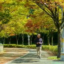 역동경로당 이미지