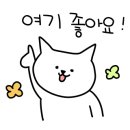 마슨잇댕 네이버블로그