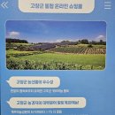 고창군청(주차장) 이미지