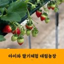 대림4농장 이미지