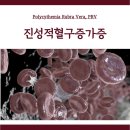 진성동물병원 네이버블로그