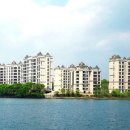 블루아라 이미지