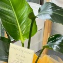 광주바른마취통증의학과의원 이미지